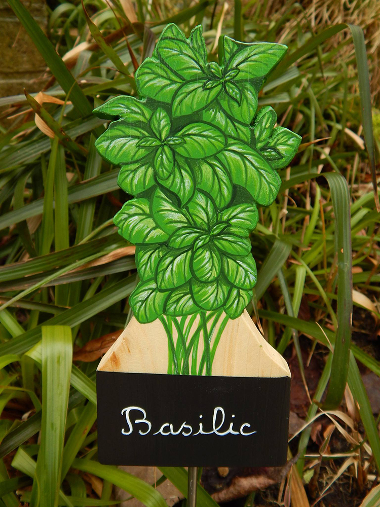 Basilic